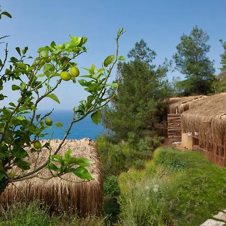 Flavia * 法拉尔雅