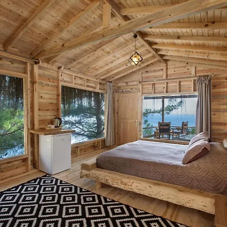 Flavia * 法拉尔雅