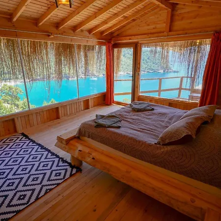 Flavia * 파랄리아