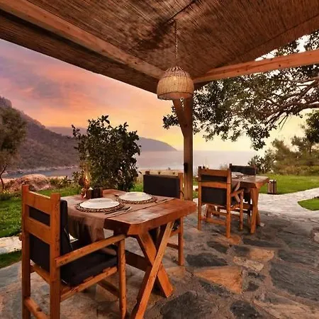 Flavia * 法拉尔雅